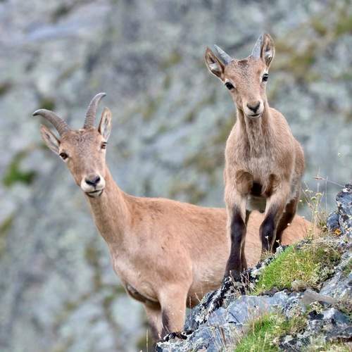 Мать и дитя