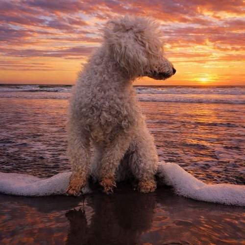 Photo #13397755