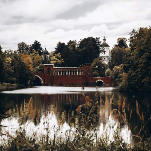 Photo #13397778