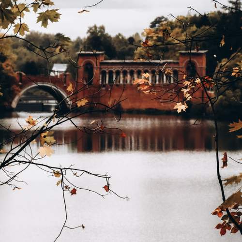 Photo #13397779