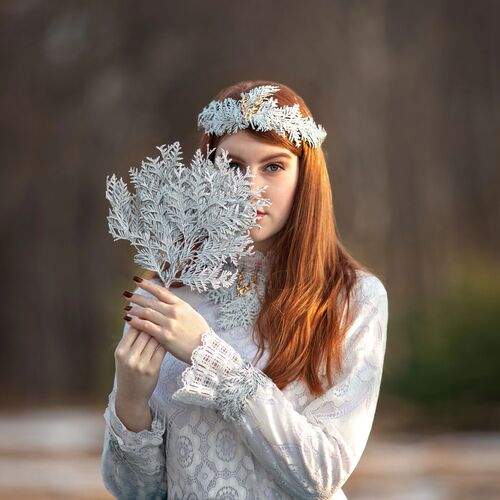 Photo #13397785