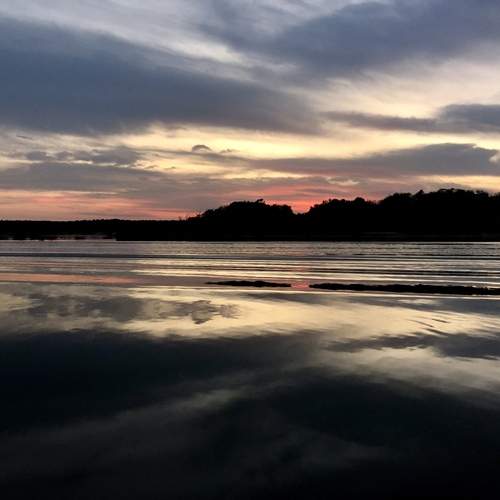 Photo #13397855