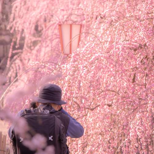 Photo #13398082