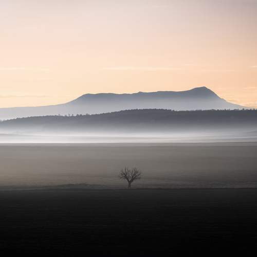 Photo #13398202