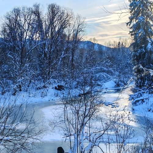 Photo #13398221
