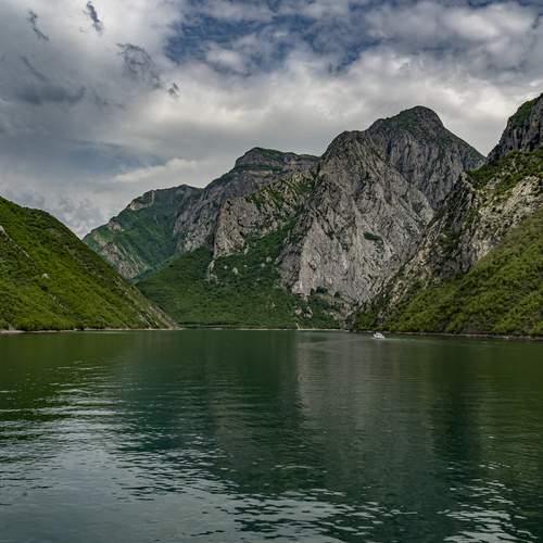 Photo #13398230