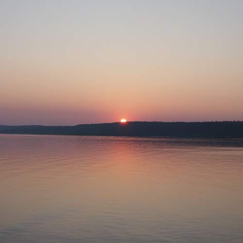 Photo #13398350