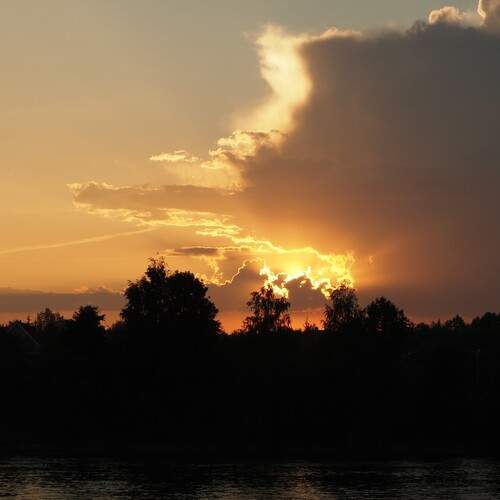 Photo #13398361