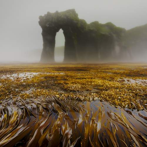 Such different Kuril Islands