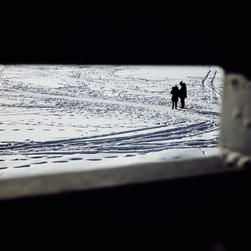 Photo #13398516