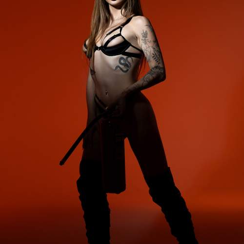 Photo #13398788