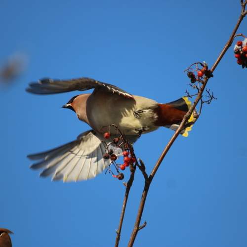 Photo #13398860