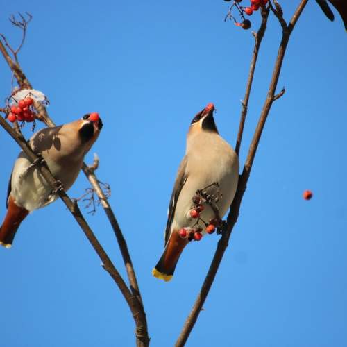 Photo #13398862