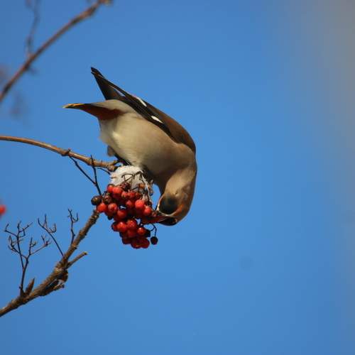 Photo #13398863