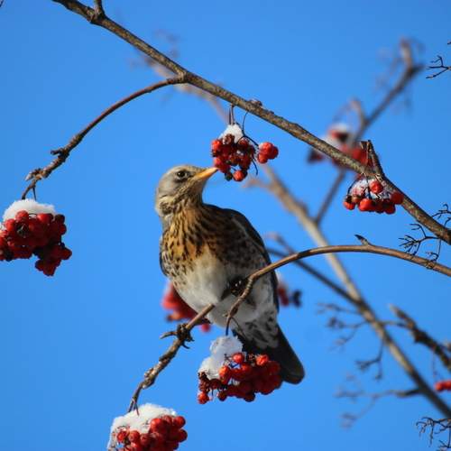Photo #13398865