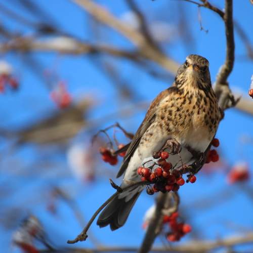 Photo #13398869