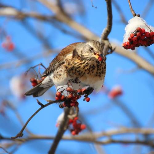 Photo #13398870