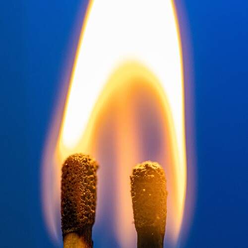 Photo #13398888