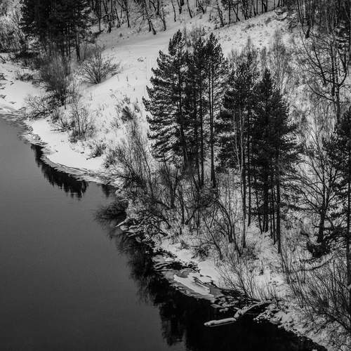 Photo #13398960