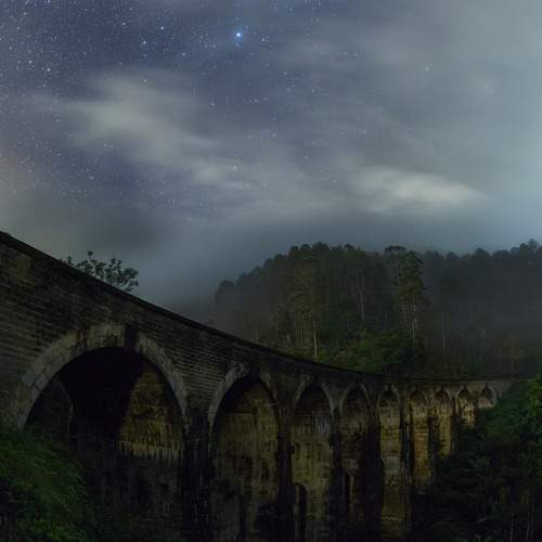 Photo #13398983