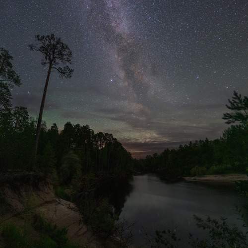 Photo #13398996