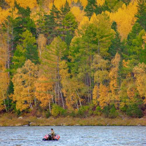 Фотография #13399083