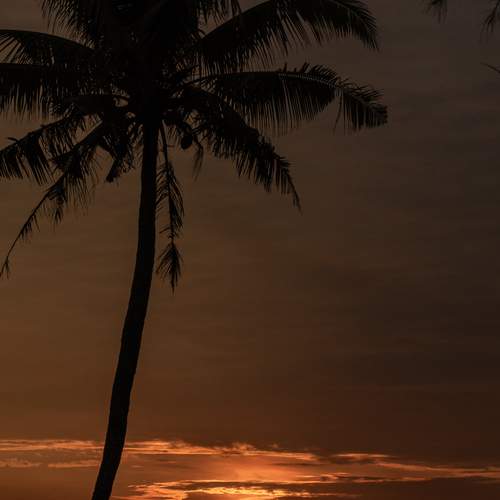 Evening Alignment