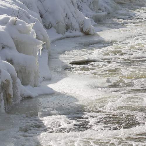 Photo #13399314