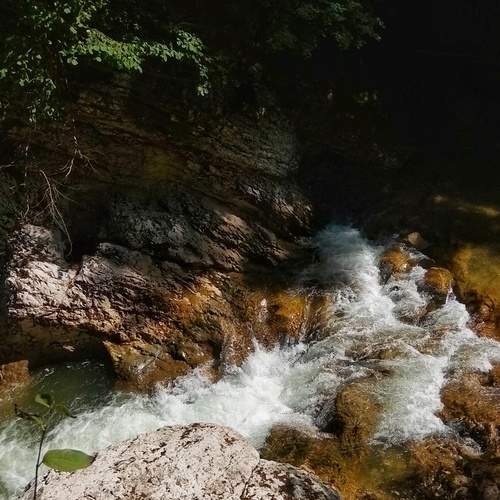 Photo #13399398