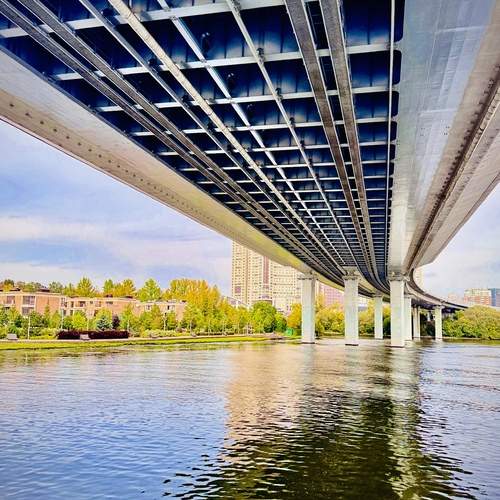 Photo #13399456