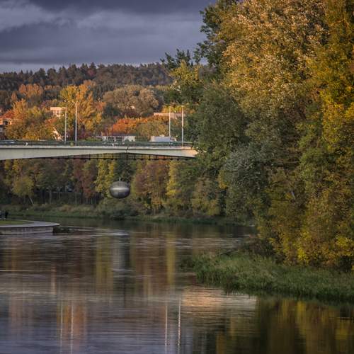 Photo #13399499