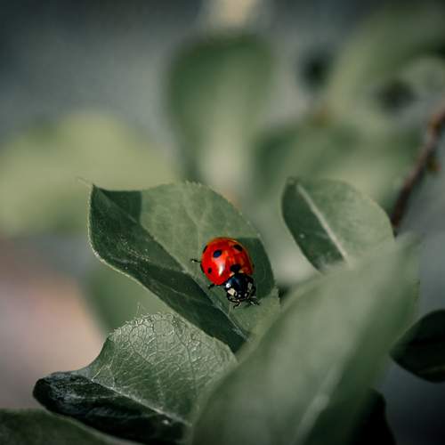 Photo #13399709
