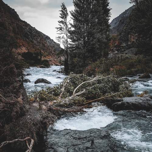 Photo #13399753