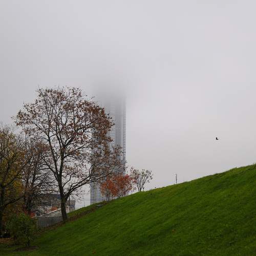 Photo #13399796