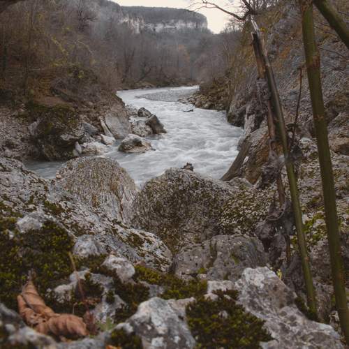 Photo #13399896