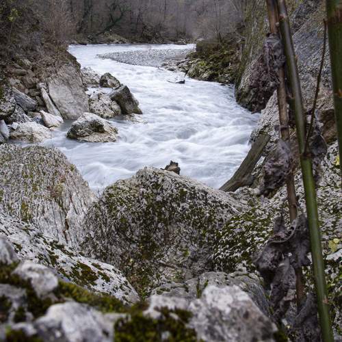 Photo #13399897