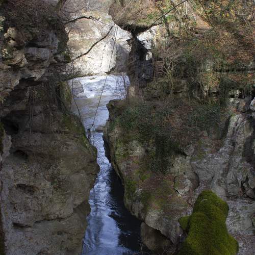 Photo #13399898