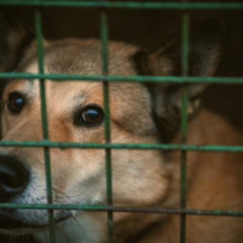 Photo #13399916