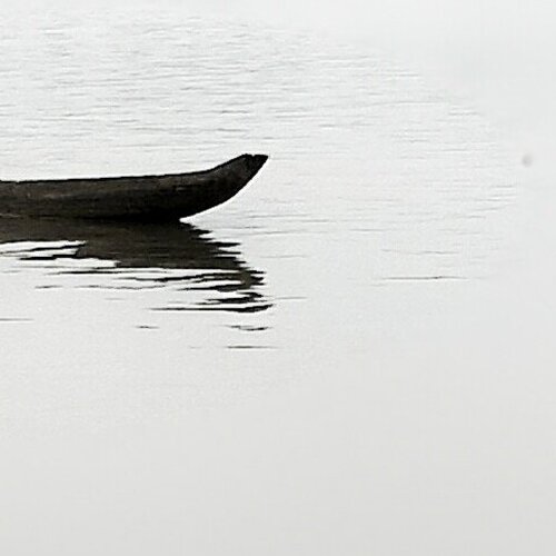 Photo #1340356