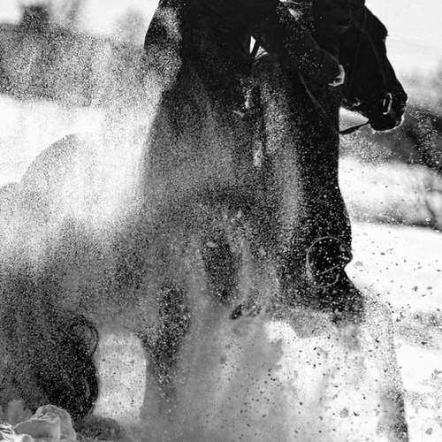 Photo #13400044