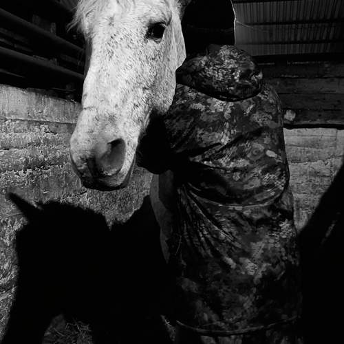 Photo #13400200
