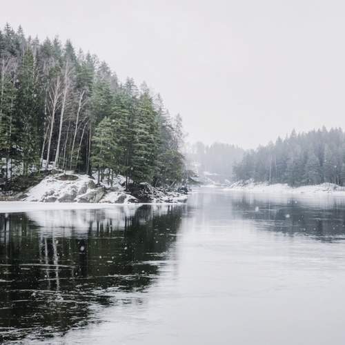 Photo #13400234
