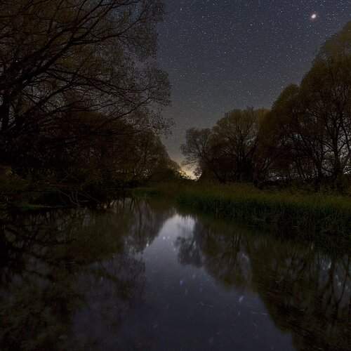 Photo #13400465