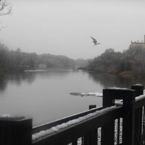 Photo #13400555
