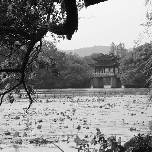Photo #13400764