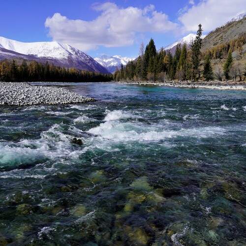 Photo #13400828