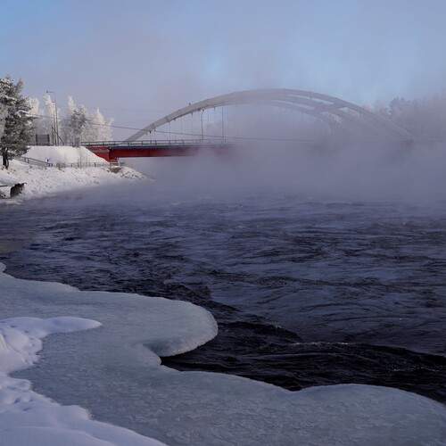 Photo #13400890