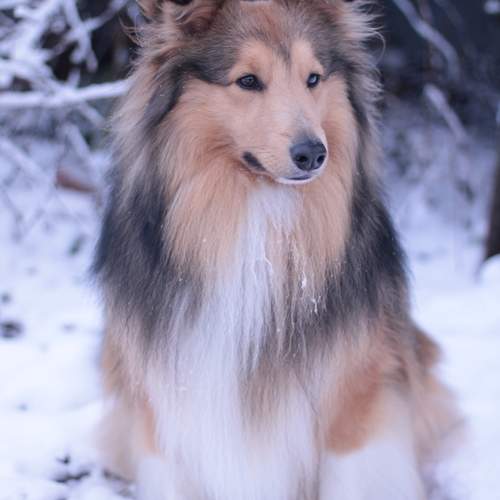 Photo #13400925