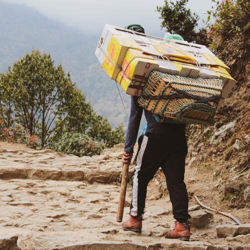 Photo #13401288