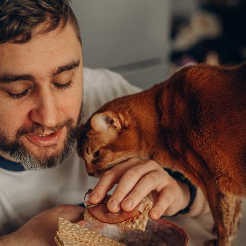 Photo #13401552